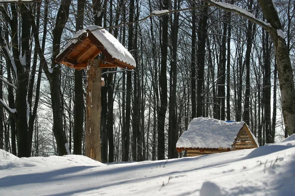 Kış Manzarası Zagreb Hırvatistan Daki Medvednica Dağı Ndaki Orman Ahşap — Stok fotoğraf