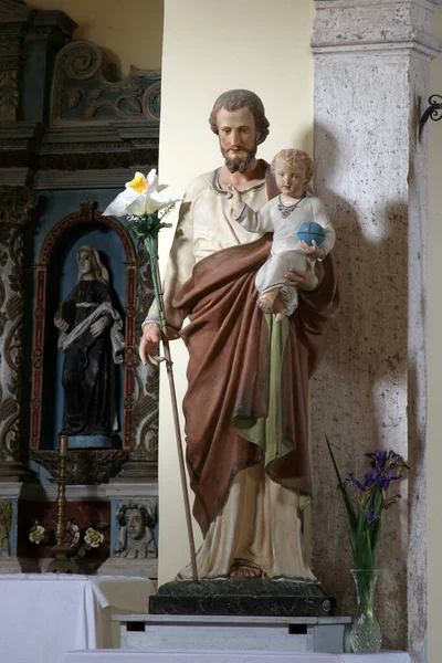 聖ヨセフは クロアチアのバチバにあるカーメル山の聖母の教区教会にある子供のイエス像を所有しています — ストック写真