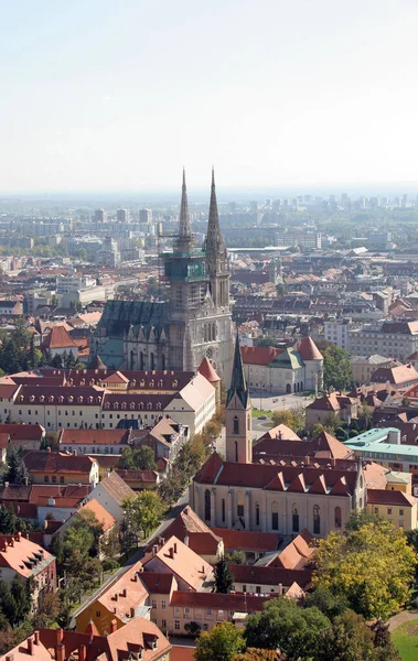 Katedralen Över Antagandet Jungfru Maria Och Franciscan Church Francis Assisi — Stockfoto