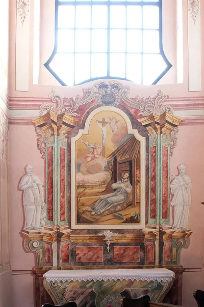 Franciszek Ksawery Ołtarz Kościele Parafialnym Marii Magdaleny Sela Kod Siska — Zdjęcie stockowe