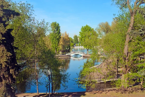 市立公園橋と池 — ストック写真