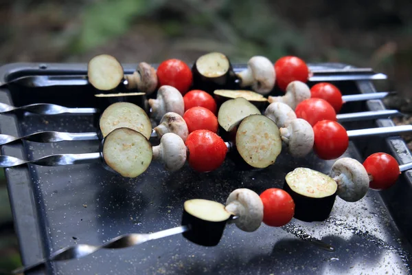 Vegetable Shish Kebab Skewers Expecting Frying — Stock Photo, Image