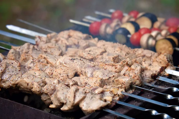 Shish Kebab Mięso Warzywa Przyprawami Smażone Kociołek — Zdjęcie stockowe