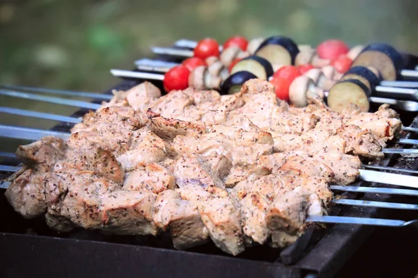 Shish Kebab Mięso Warzywa Przyprawami Smażone Kociołek — Zdjęcie stockowe