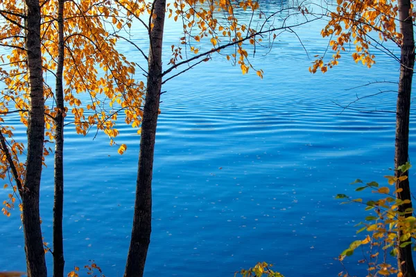 Jesienny Widok Piękny Kolorowy Liści Drzew Jezioro Woda — Zdjęcie stockowe