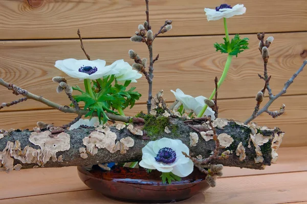 Spring Ikebana Traditionelles Japanisches Blumenarrangement — Stockfoto