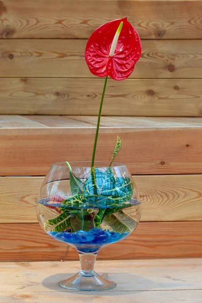 Ikebana Japanese Traditional Floral Arrangement — Stock Photo, Image
