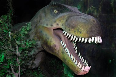 Allosaurus Fragilis Dinozor kafa.