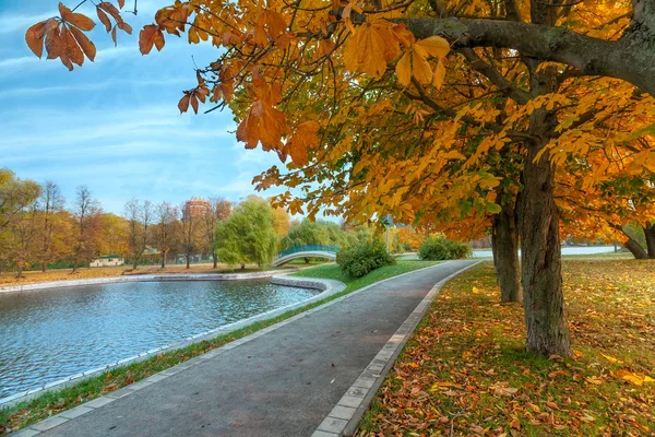 Herbstlandschaft des Stadtparks mit goldenen Bäumen und Teich mit Brücke — Stockfoto