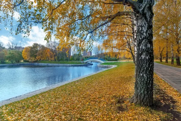 秋天的风景与黄金白木，池塘和桥梁的大道 — 图库照片