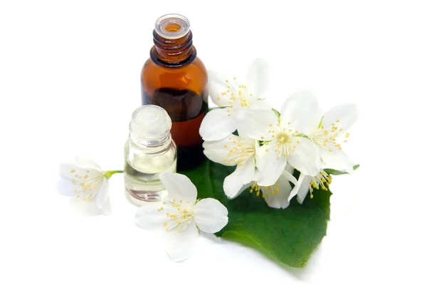 Ätherisches Aromaöl Mit Jasminblüten Auf Weißem Hintergrund lizenzfreie Stockfotos