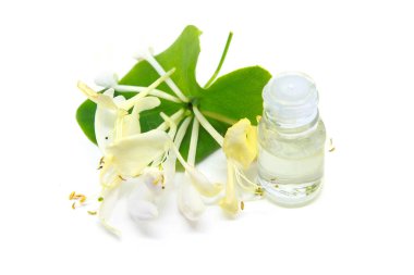 Lonicera caprifolium, hanımeli çiçeği esaslı yağ (çare, özü) beyaz arka planda izole edilmiş şişe