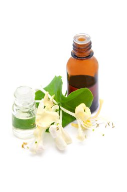 Lonicera caprifolium, hanımeli çiçeği esaslı yağ (çare, özü) beyaz arka planda izole edilmiş şişe