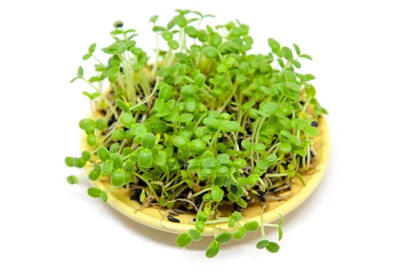 Sprouting Zaden Van Sesam Kom Geïsoleerd Witte Achtergrond — Stockfoto