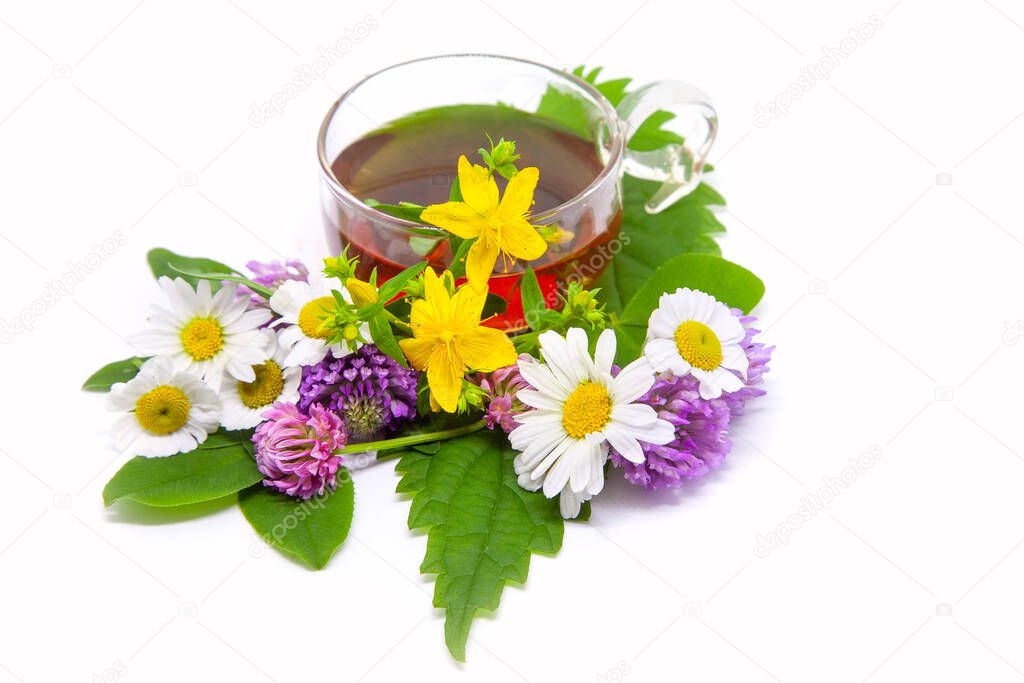 Herbs tea from curative plants on white background. Herbal Medicine.