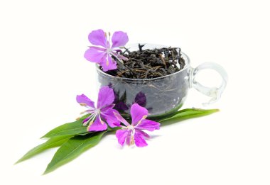 Mayalanmış yaprak ateş otundan (Chamerion angustifolium) gelen bitki çayı, beyaz arka planda büyük willowhere ya da rosebay willoerb olarak da bilinir. Geleneksel Rus Koporye Çayı (Ivan Chai)