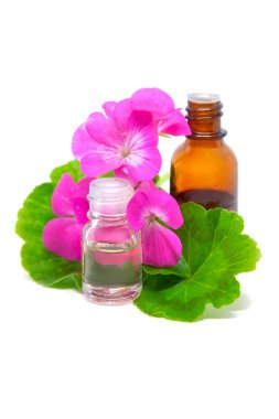 Sardunyalı şişeler (pelargonium) temel yağ, taze çiçek ve beyaz arka planda yaprak. Bbio, organik, doğa kozmetik konsepti