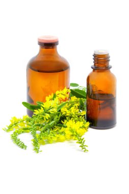 Melilotus officinalis, sarı tatlı yonca, sarı melilot, tırtıklı melilot, sıradan melilot ve beyaz arka planda ilaç şişeleri olarak bilinir. Bitkisel ilaçlar