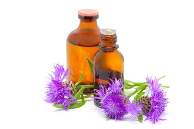 Pembe çiçek (Centaurea biebersteinii) ve gerekli yağ ve tıbbi bitki özüyle dolu şişeler. İzole edilmiş beyaz arkaplan.