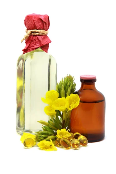 Gelbe Nachtkerze Oenothera Biennis Blüten Kapseln Und Flaschen Mit Kosmetika — Stockfoto
