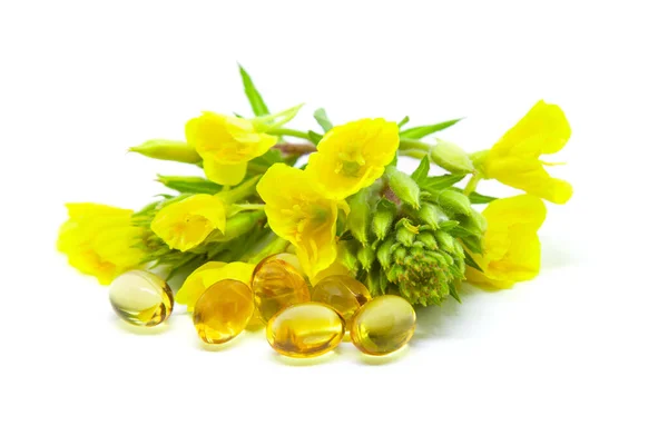 Yellow Evening Primrose Oenothera Biennis Flowers Capsules Oil Cosmetics Natural — Stock Photo, Image