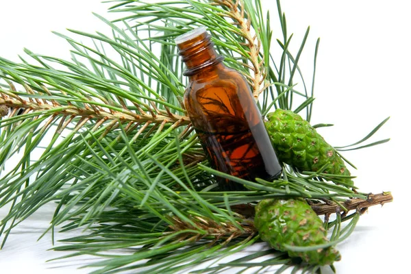 一瓶松树精油和年轻的绿色圆锥在松枝上 白色背景 芳香疗法 温泉和草药配料 — 图库照片