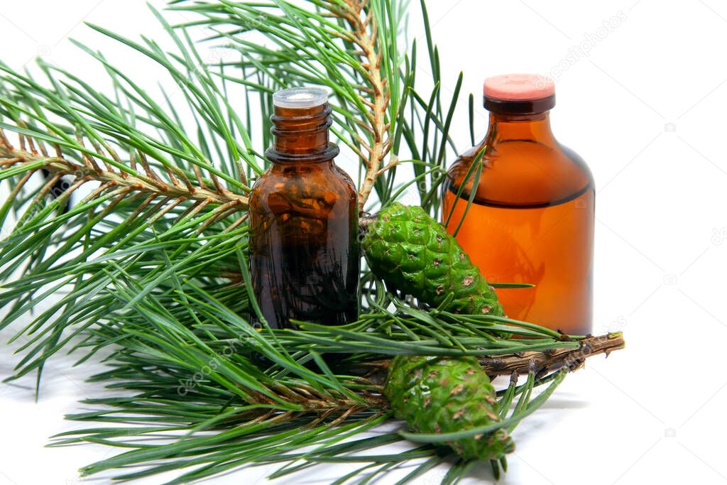 A bottles of pine essential oil and tincture with young green cones on pine branches on a white background. Aromatherapy, spa and herbal medicine ingredients