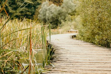Ulusal Plitivcie Hırvatistan Şelalesi
