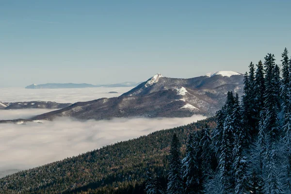 Winter Morning Mountian Lot Fog Snow — Stock Photo, Image