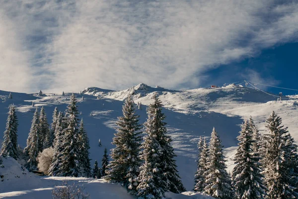 Winter Morning Mountian Lot Fog Snow — Stock Photo, Image