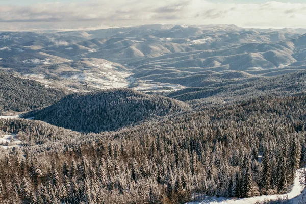 Winter Morning Mountian Lot Fog Snow — Stock Photo, Image