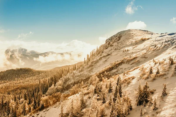 Winter Morning Mountian Lot Fog Snow — Stock Photo, Image