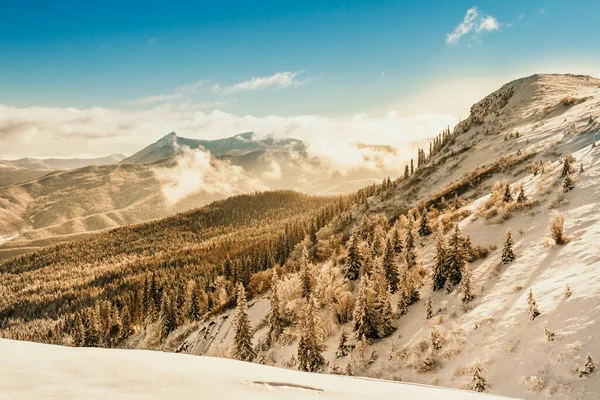 Manhã Inverno Montanhoso Com Muito Nevoeiro Neve — Fotografia de Stock