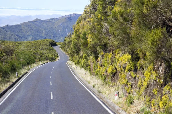 Estrada em Paul da Serra na Madeira — Fotografia de Stock