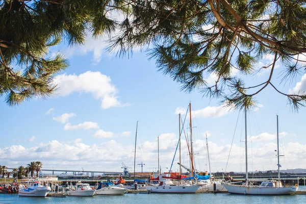 Marine Port Full Yachts — Stock Photo, Image