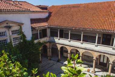 palmiye ağacı ve sütunlar ile avlu