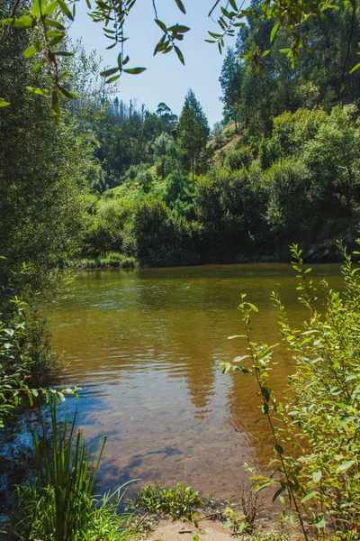 Fiume Portoghese Mondego Estate — Foto Stock