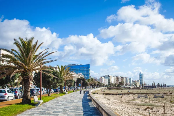 plajda palmiye ağaçları ile kaldırım