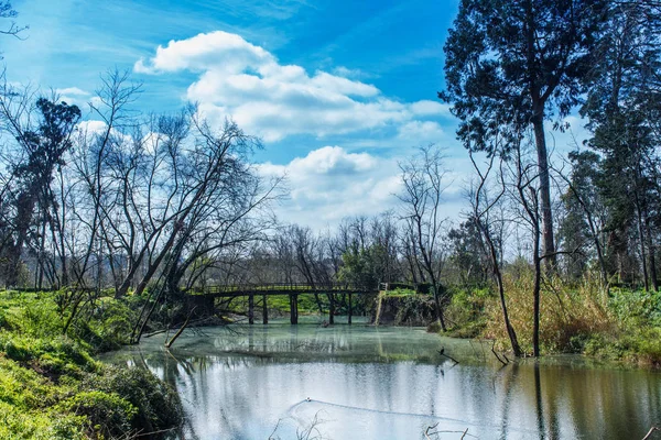 küçük bir yaya köprüsü