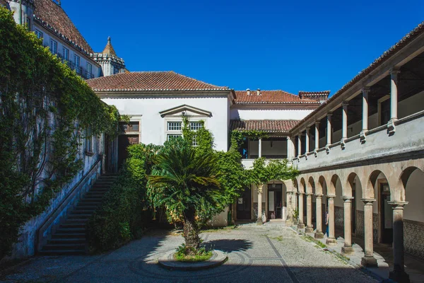 Cortile Con Colonne Una Palma — Foto Stock