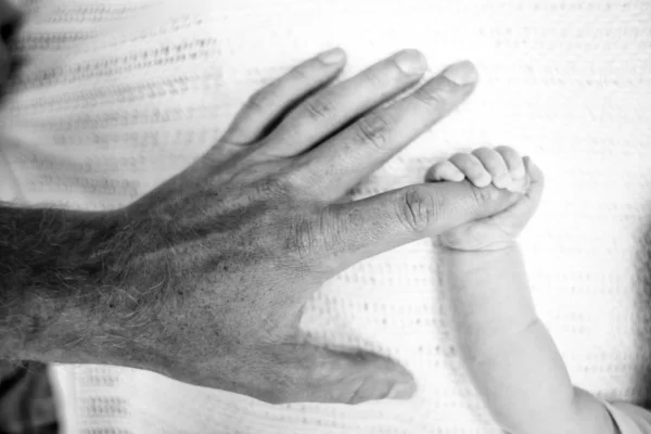 Feet Baby Hands Parents Black White — Stock Photo, Image