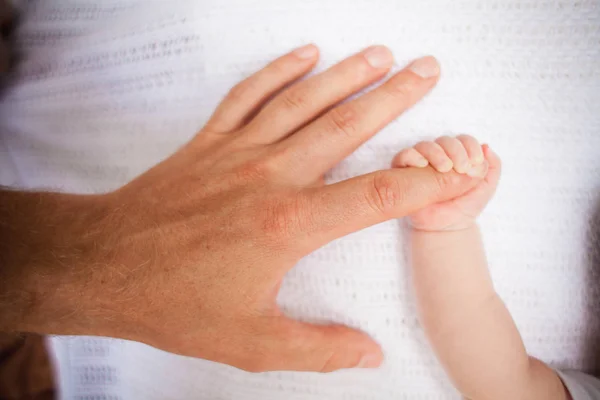 Feet Baby Hands Parents — Stock Photo, Image