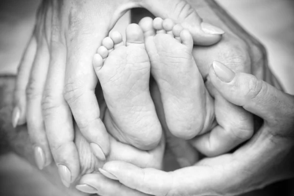 feet of the baby and hands of the parents black and white