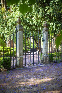 renklerle dolu eski şehir parkında