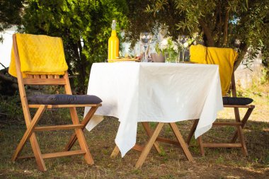 zeytin ağaçlarının altında şehir parkında randevu