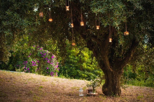 renklerle dolu eski şehir parkında