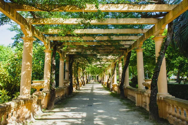 Una Columnata Parque Portugués Verano — Foto de Stock