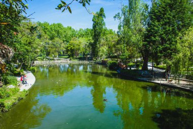 Yaz aylarında portekiz parkında gölet üzerinde güneşli bir gün