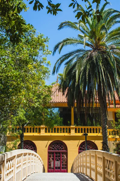 Eine Brücke Über Einen Kleinen Teich Einem Portugiesischen Park — Stockfoto