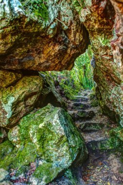 bir kin ormanındaki kayaların arasından bir yol